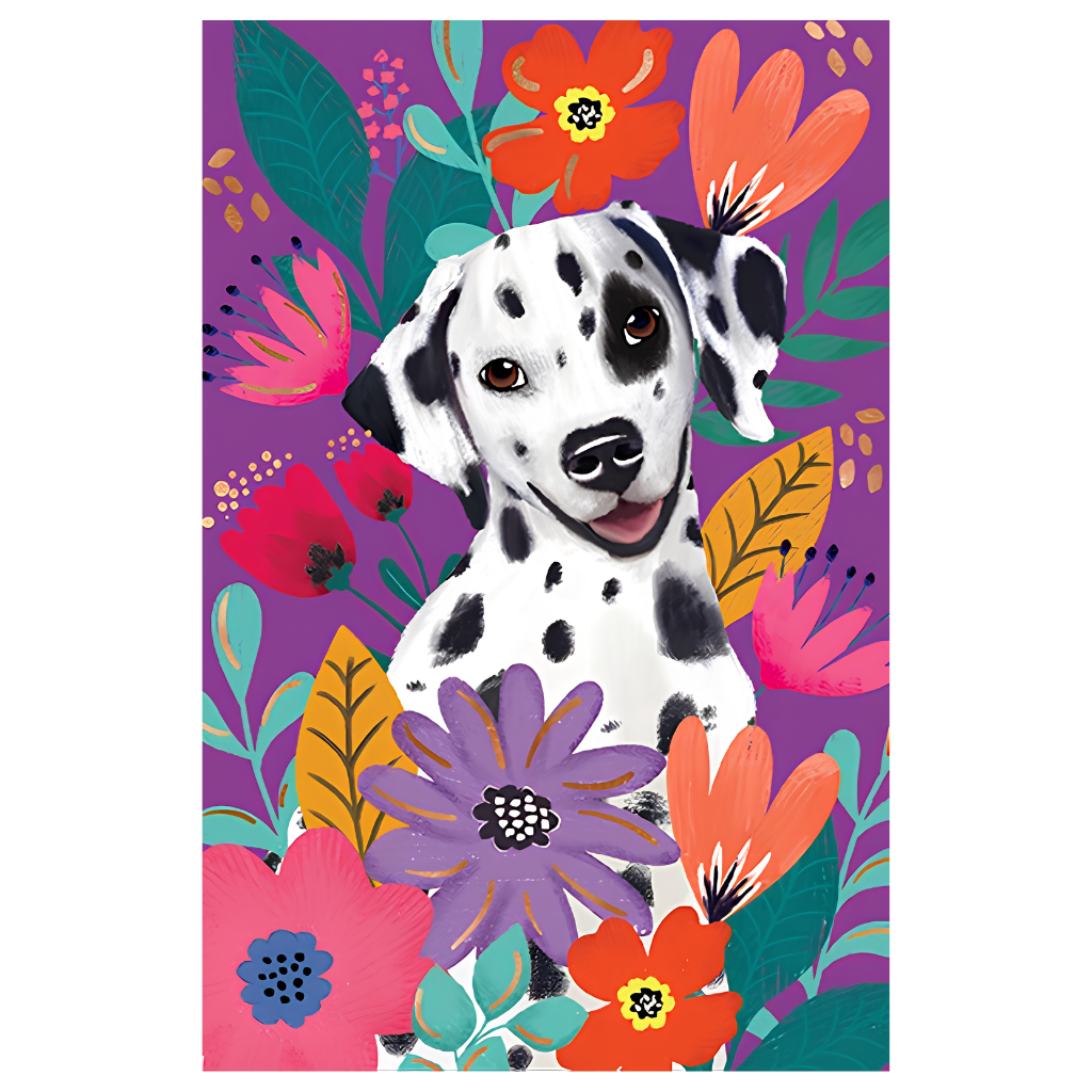 Dalmation