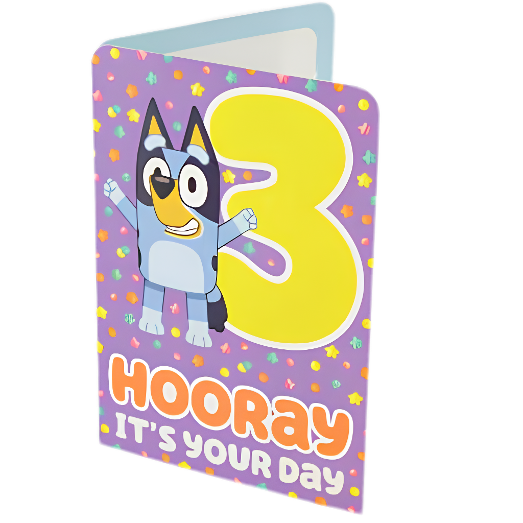 Bluey 3rd Birthday