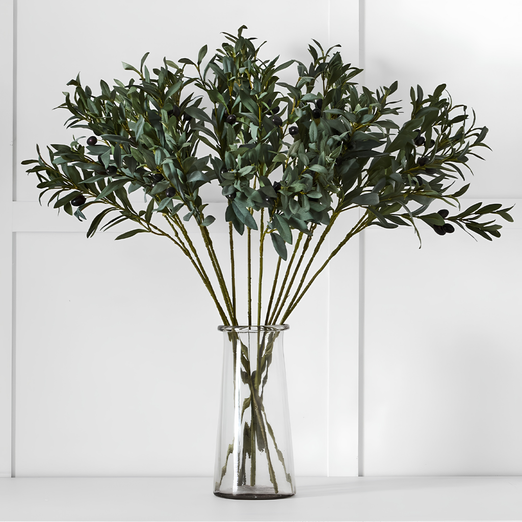 Life Botanicals Olive Stem With Fruit