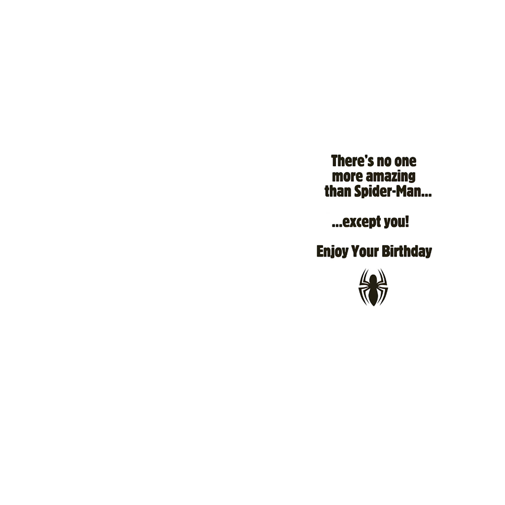 Spiderman Birthday Hero