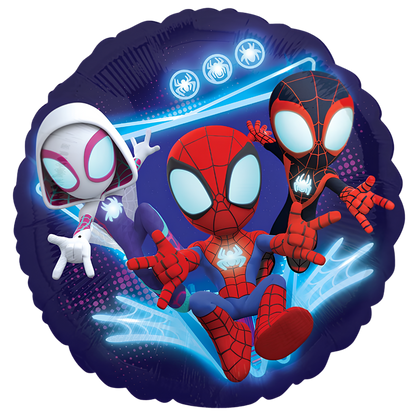 Spidey + Friends Two Sided