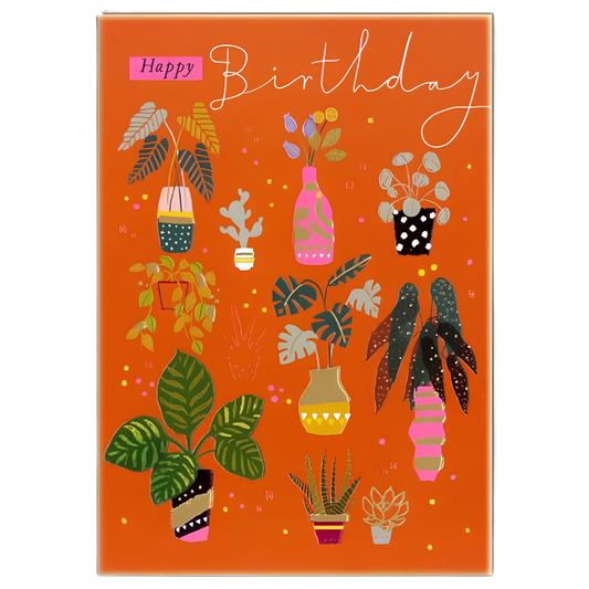 Happy Birthday, Pot Plants