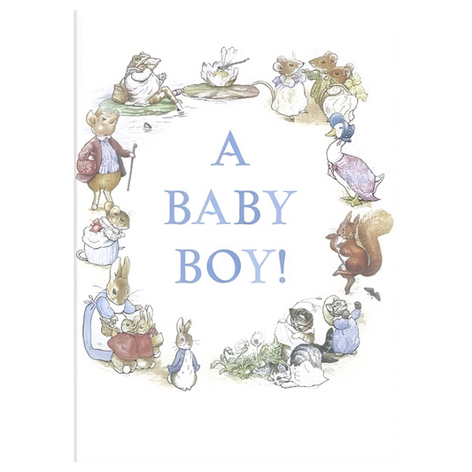 Beatrix Potter Baby Boy