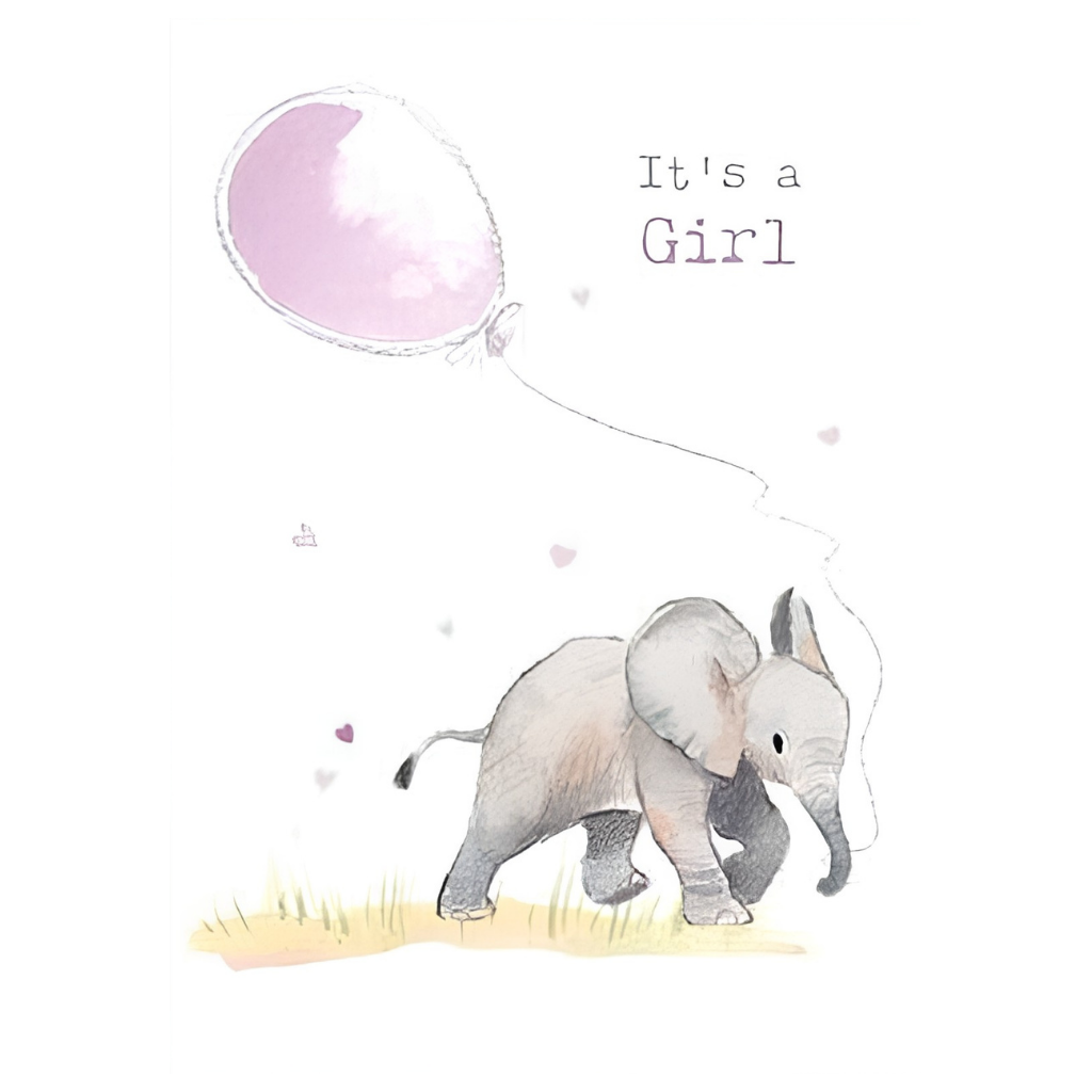 It's a Girl Elephant
