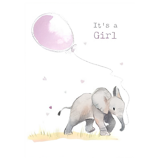 It's a Girl Elephant