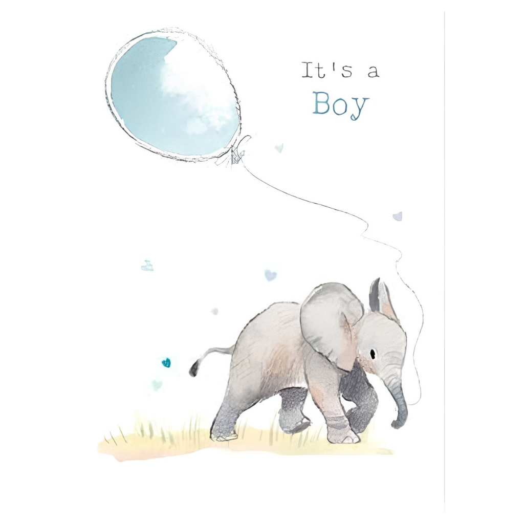 It's a Boy Elephant