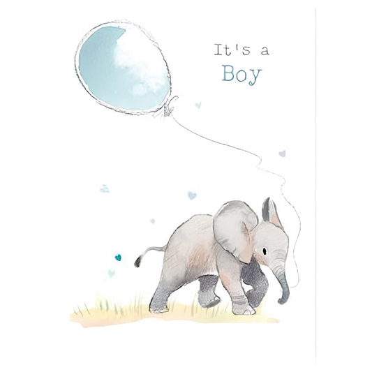 It's a Boy Elephant