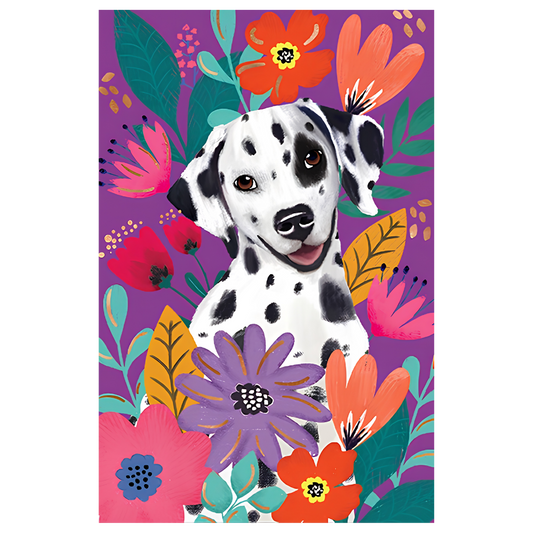 Dalmation