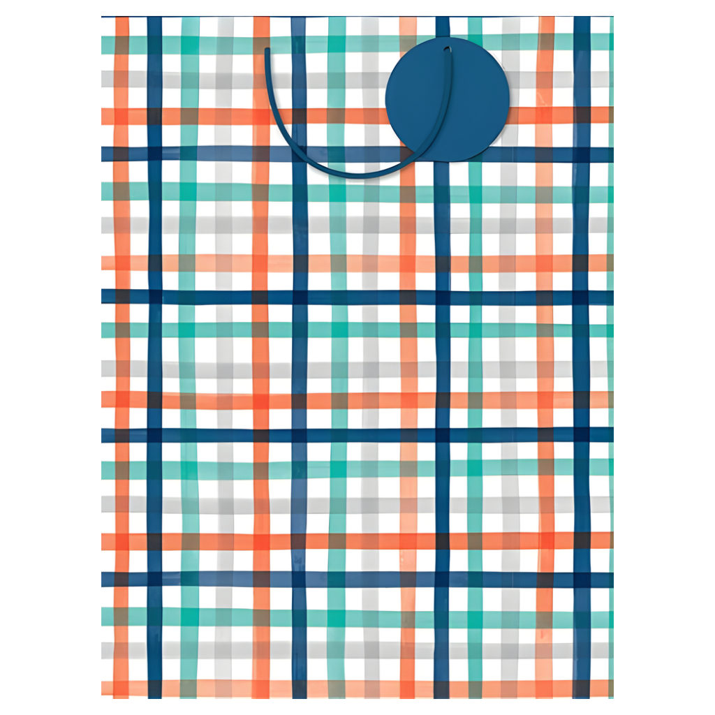 Gift Bag - Checkerd [Sz:Large]