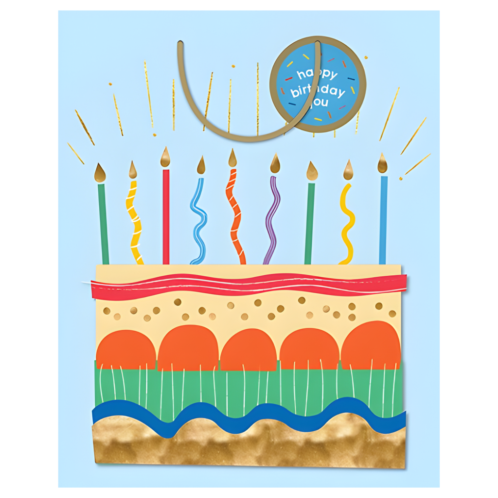 Gift Bag - Birthday Cake (Med)