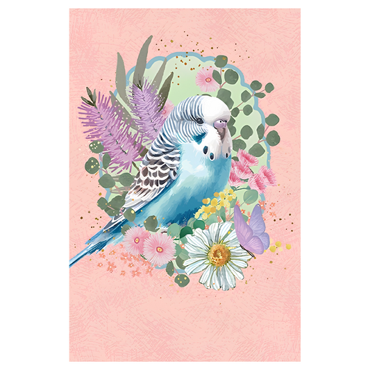 Aussie Budgie 
