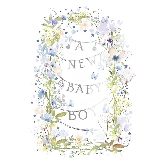 A New Baby Boy