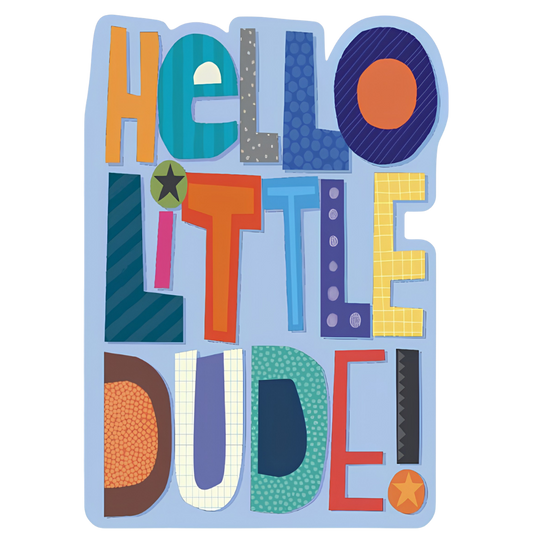 Hello Little Dude!