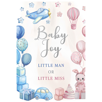 Gender Reveal Pink and Blue Balloons
