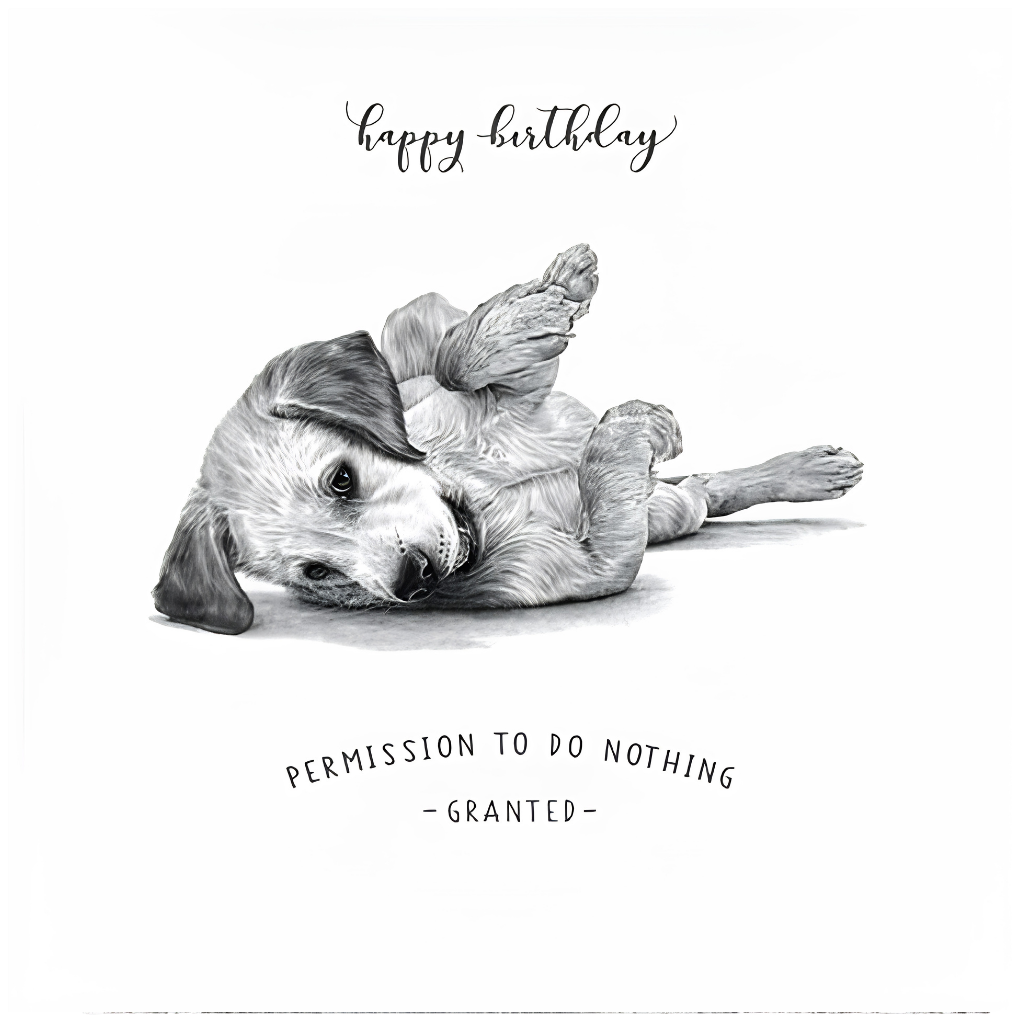 Birthday, Permission To Do Nothing