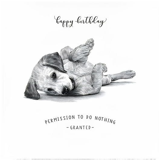 Birthday, Permission To Do Nothing
