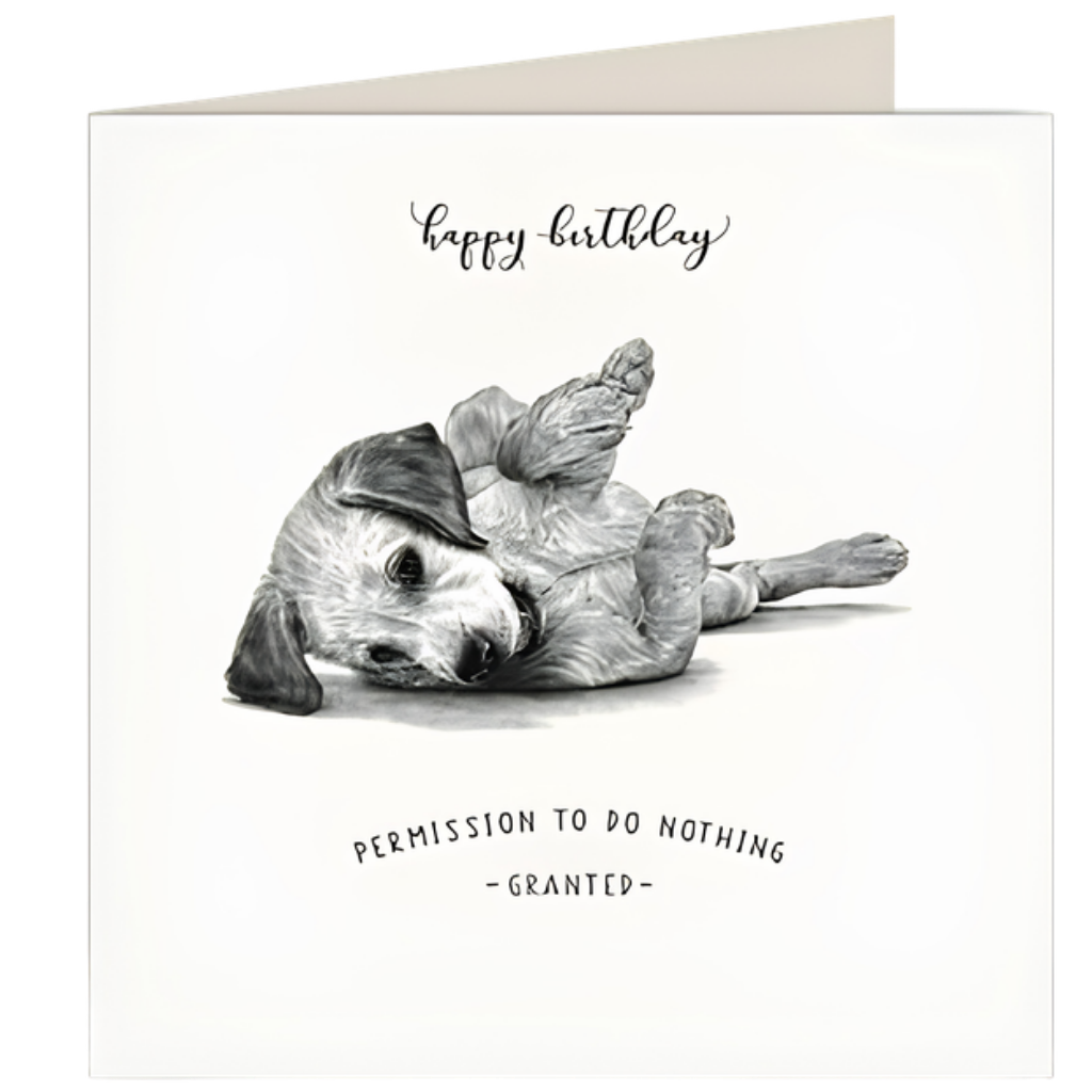 Birthday, Permission To Do Nothing