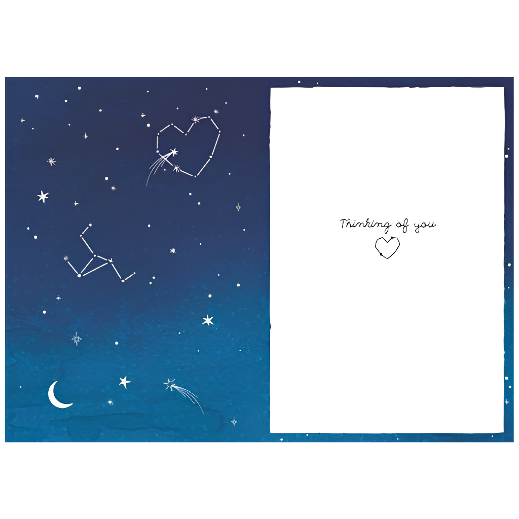 Loss of Pet Star Map 