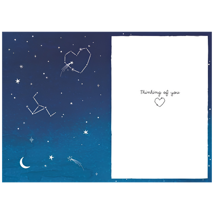 Loss of Pet Star Map 