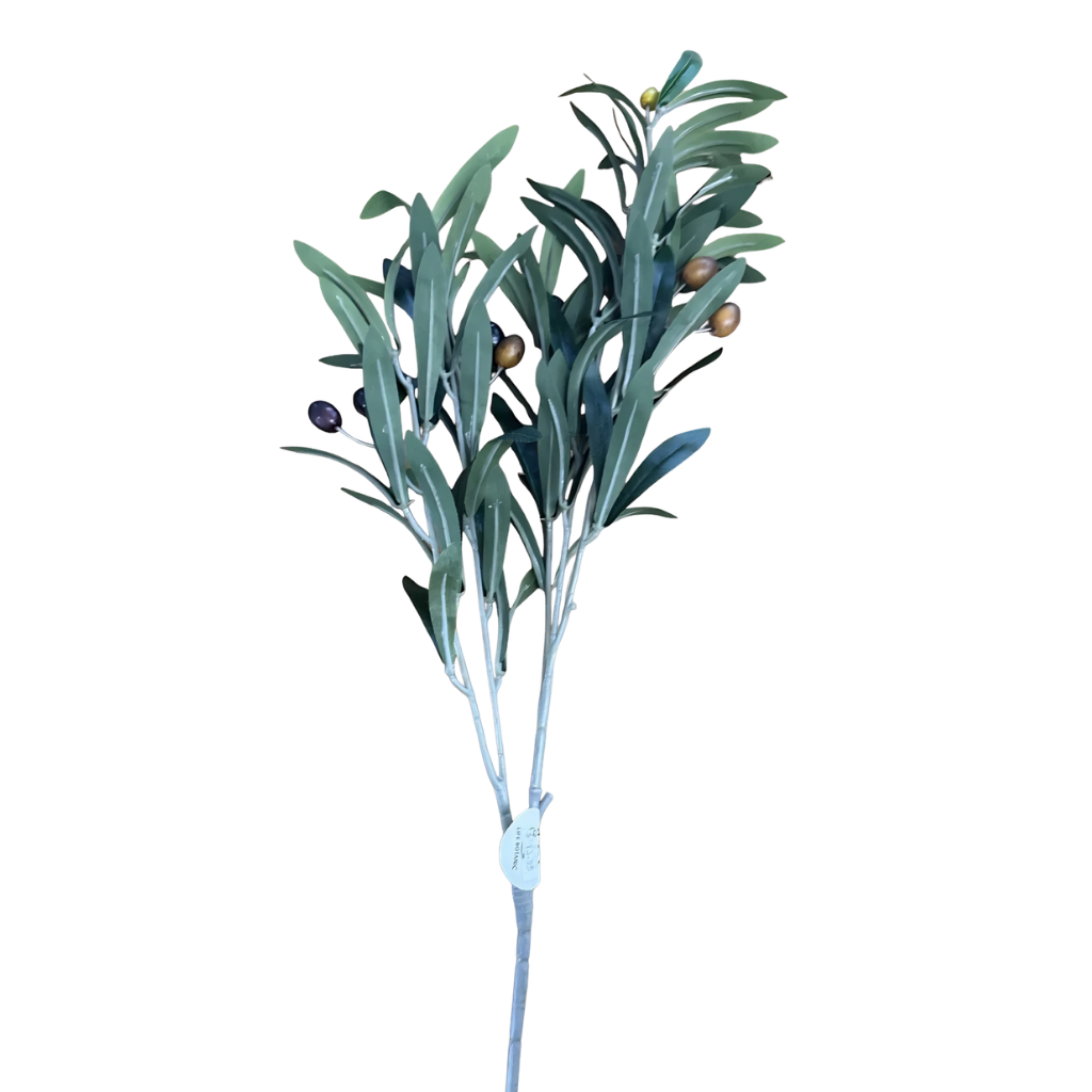 Life Botanicals Olive Stem With Fruit