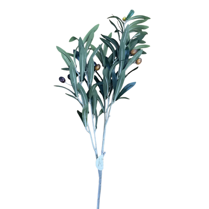 Life Botanicals Olive Stem With Fruit