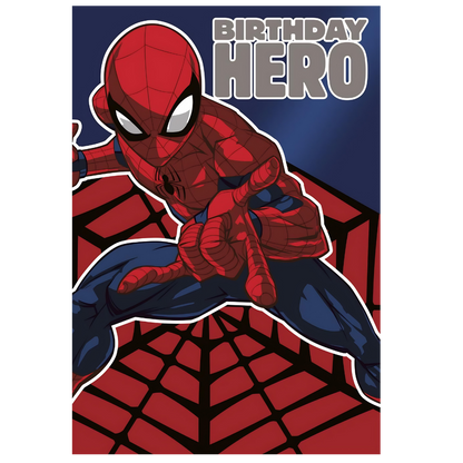 Spiderman Birthday Hero