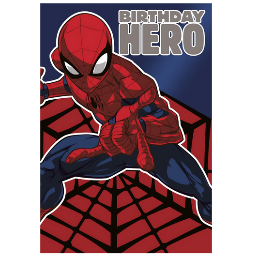 Spiderman Birthday Hero