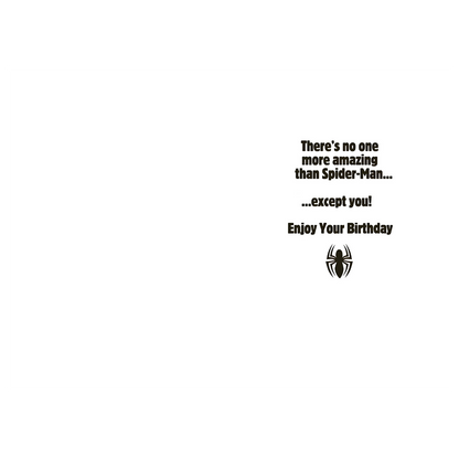 Spiderman Birthday Hero