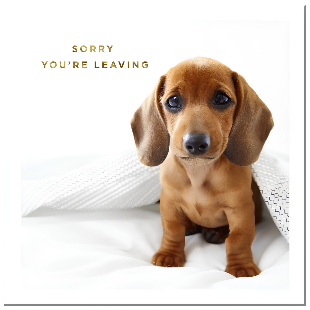 Sorry You're Leaving