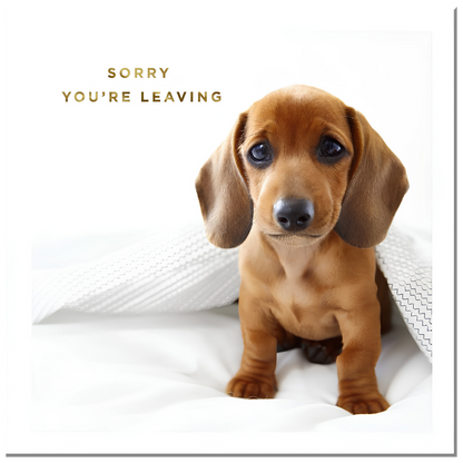 Sorry You're Leaving