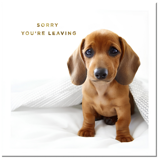 Sorry You're Leaving
