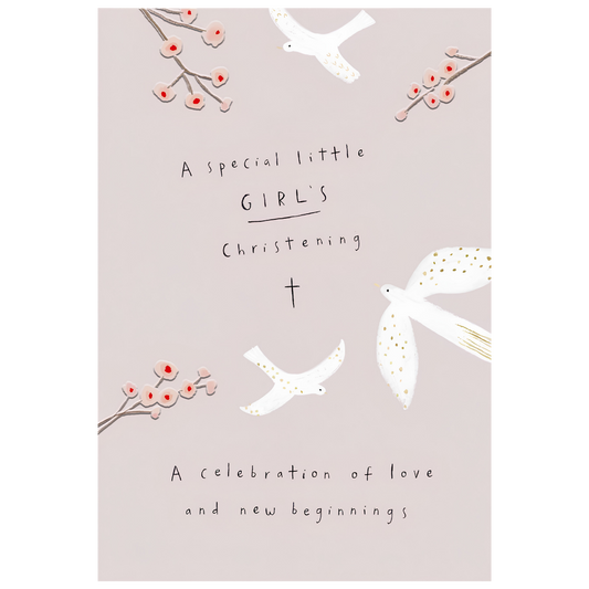 A Special Little Girl's Christening