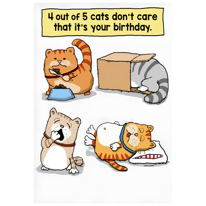 4 Out Of 5 Cats