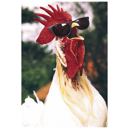 Rooster
