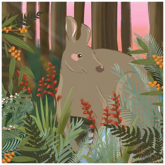 Forest