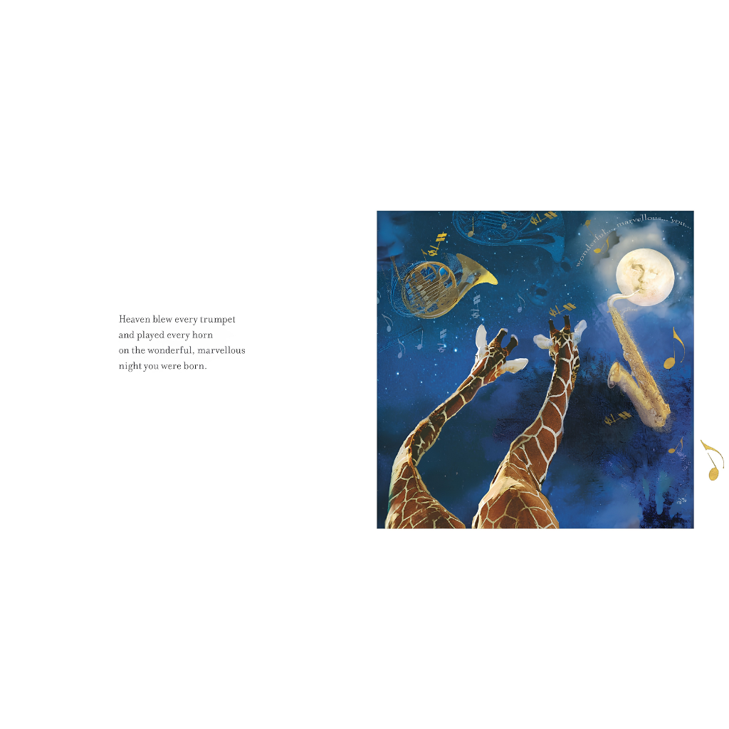 On The Night You were Born - Nancy Tillman