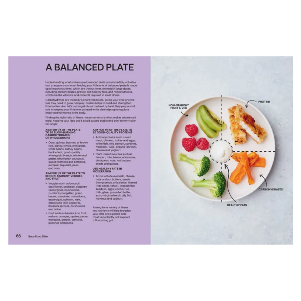 Baby Food Bible