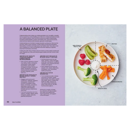Baby Food Bible