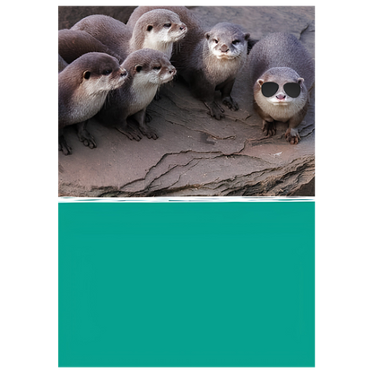 Not Like Otters