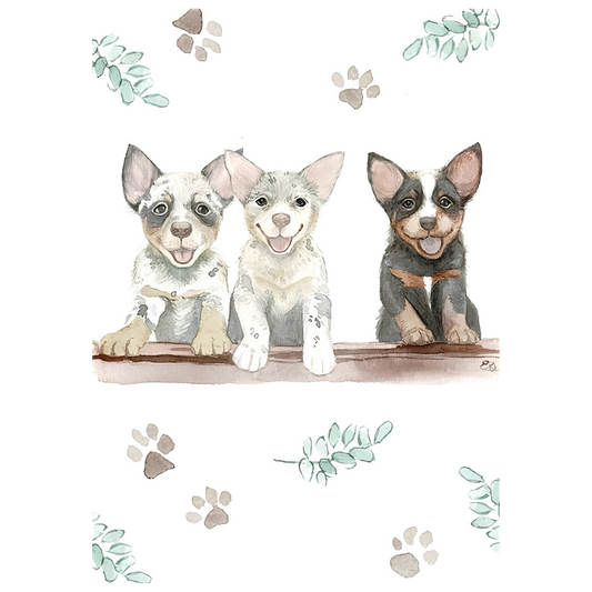 Three Amigos Pups