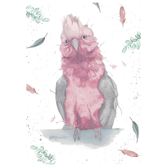 Skittles Galah