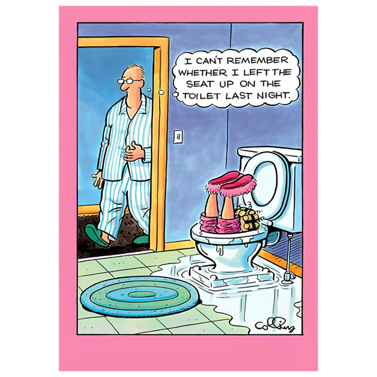 Toilet Seat Up