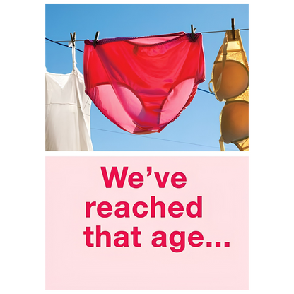 Large Panties