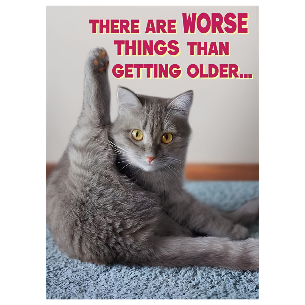 Worse than Older Cat