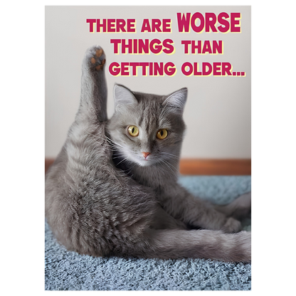 Worse than Older Cat