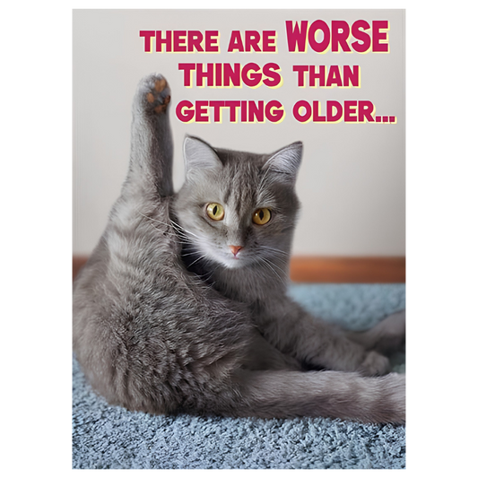 Worse than Older Cat